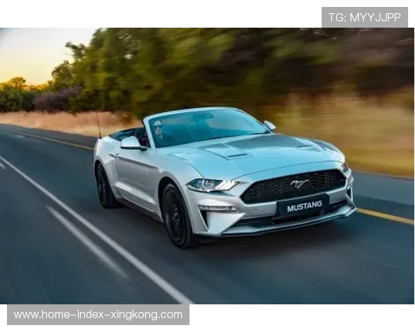 从总统家族到世界赛场,高尔夫成为新的政治名片? 从总统家族到世界赛场,高尔夫成为新的政治名片?